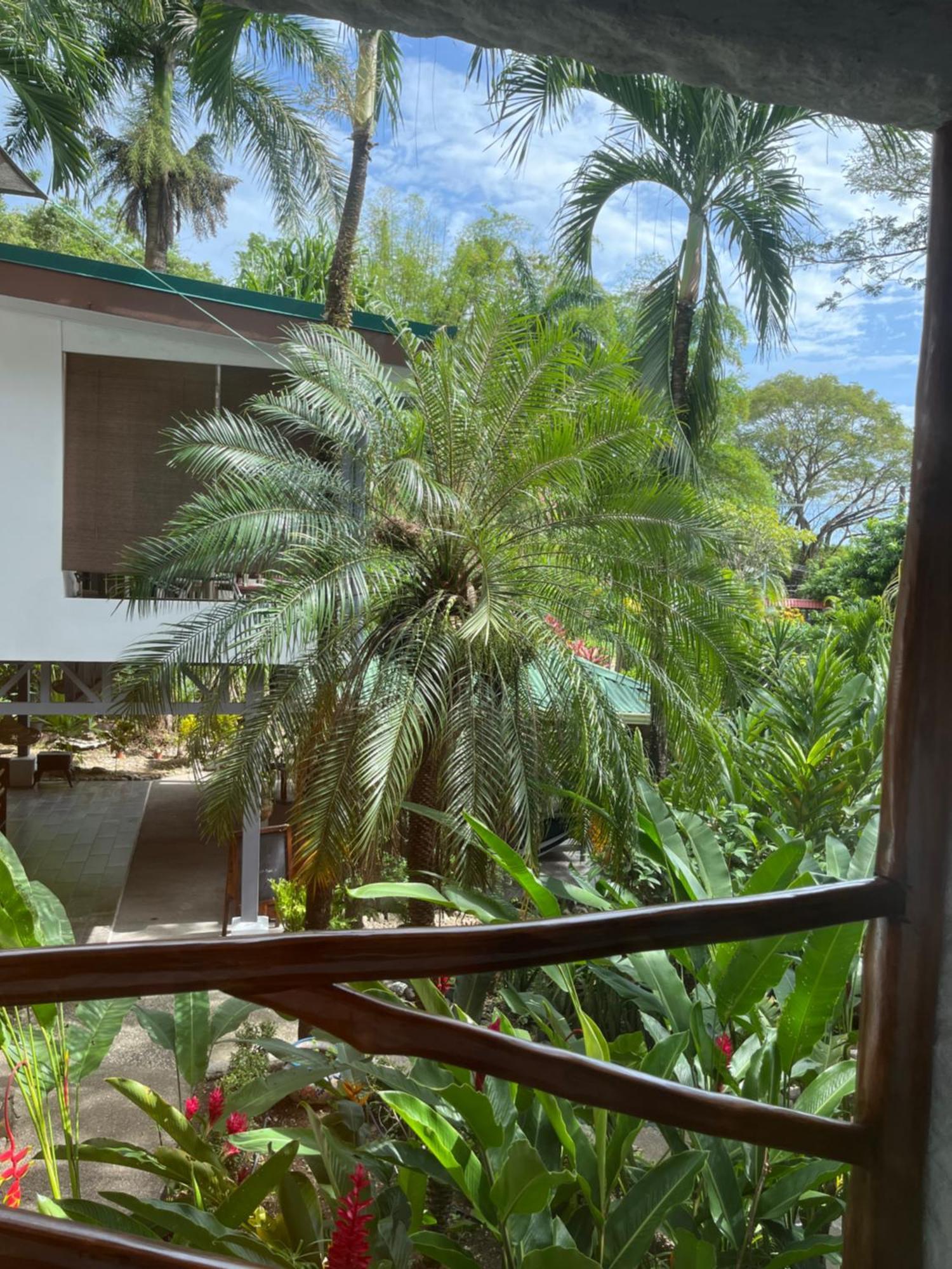Hotel Entre Dos Aguas Sámara エクステリア 写真